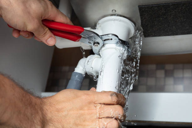 Best Ceiling water damage repair  in Overland Park, KS