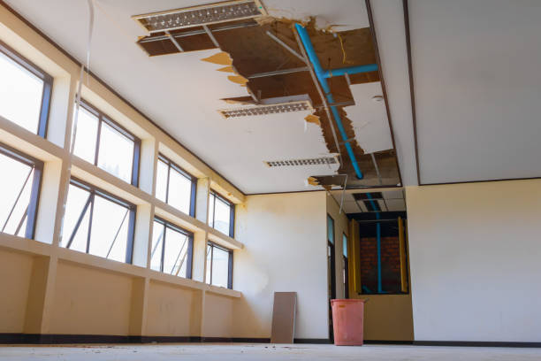 Best Professional water damage repair  in Overland Park, KS