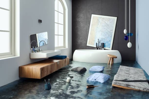 Best Water damage contractors near me  in Overland Park, KS