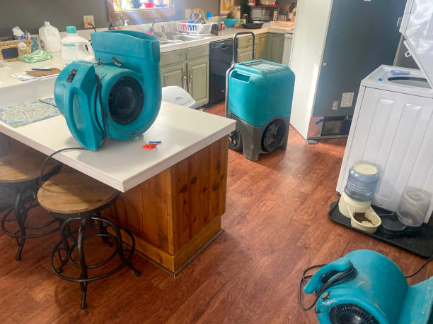 Best Commercial water damage restoration  in Overland Park, KS