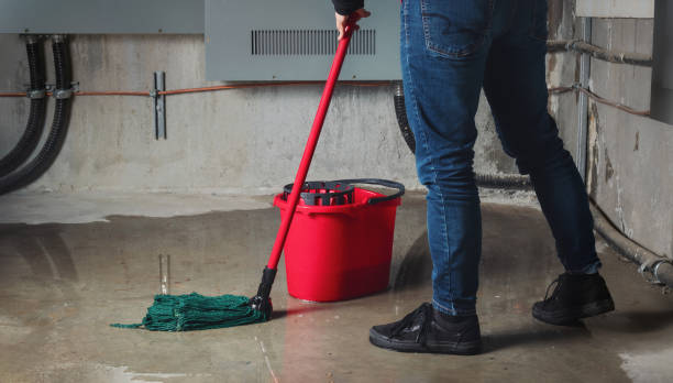 Best Water damage restoration near me  in Overland Park, KS