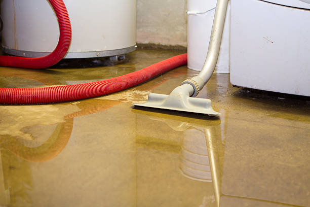 Best Carpet water damage restoration  in Overland Park, KS