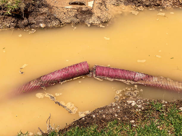 Best Residential water damage restoration  in Overland Park, KS