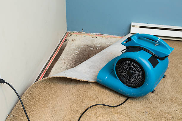 Best Local water damage restoration  in Overland Park, KS
